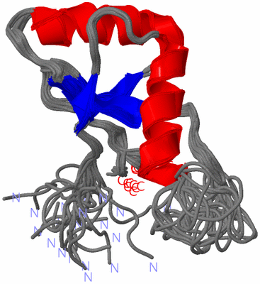 Image NMR Structure - all models