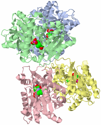 Image Asym./Biol. Unit