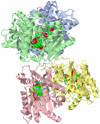 Image Asym./Biol. Unit - sites