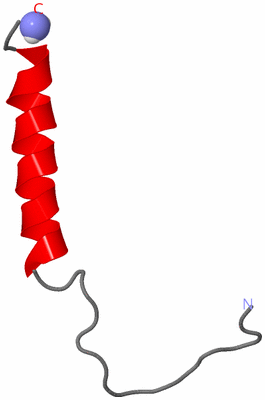 Image NMR Structure - model 1