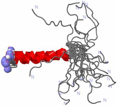 Image NMR Structure - all models