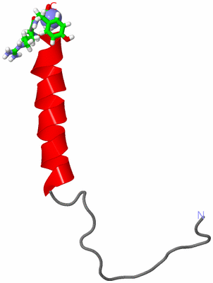Image NMR Structure - model 1, sites