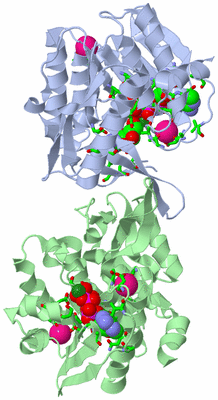 Image Asym./Biol. Unit - sites