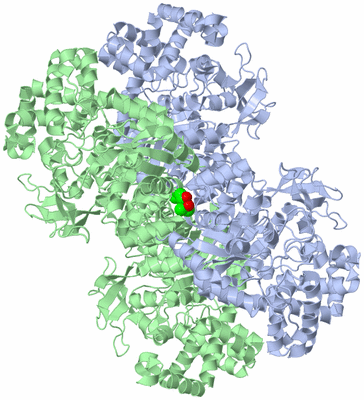 Image Biological Unit 3