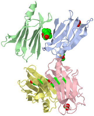 Image Asymmetric Unit