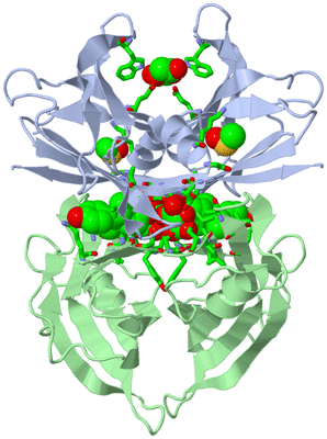 Image Biol. Unit 1 - sites