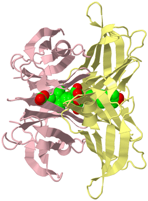 Image Biological Unit 3