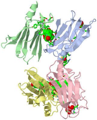 Image Asym. Unit - sites