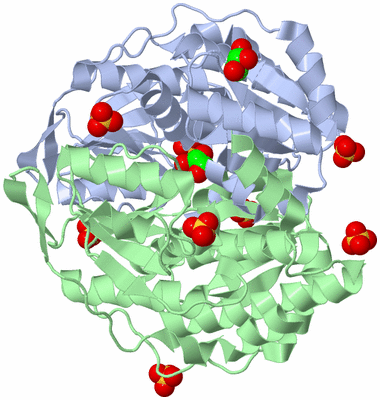 Image Asym./Biol. Unit