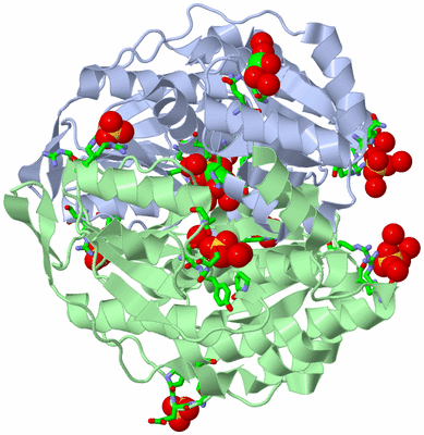 Image Asym./Biol. Unit - sites