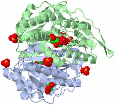 Image Asym./Biol. Unit