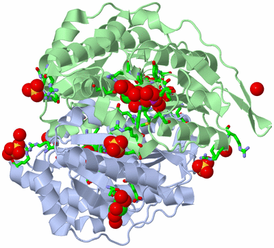 Image Asym./Biol. Unit - sites