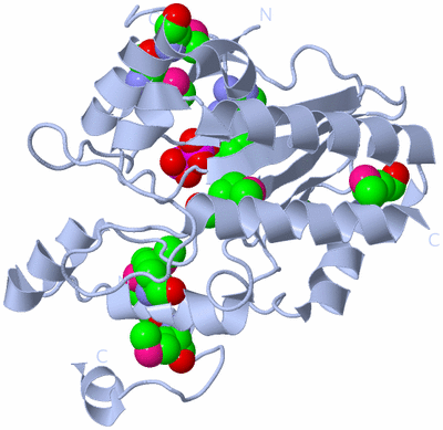 Image Biological Unit 1