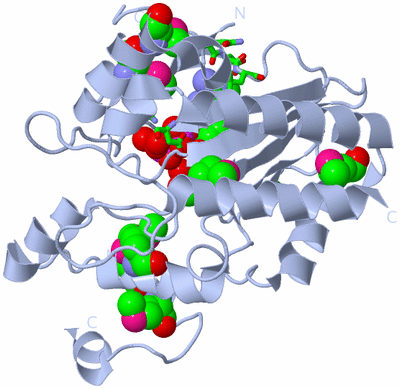 Image Biol. Unit 1 - sites