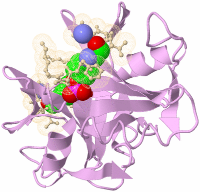 Image Biological Unit 2