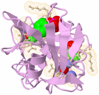 Image Biological Unit 3