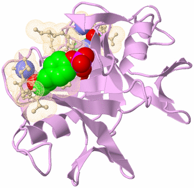 Image Biological Unit 4