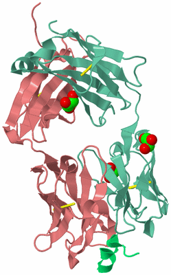 Image Biological Unit 1