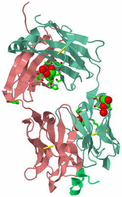 Image Biol. Unit 1 - sites