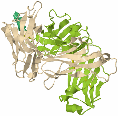 Image Biological Unit 2