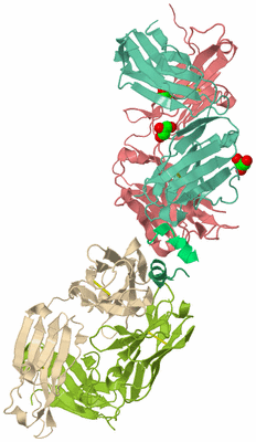 Image Biological Unit 3