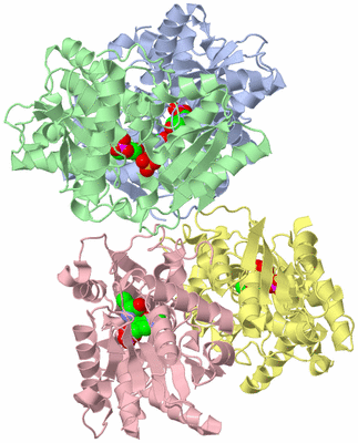 Image Asym./Biol. Unit