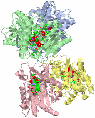 Image Asym./Biol. Unit - sites