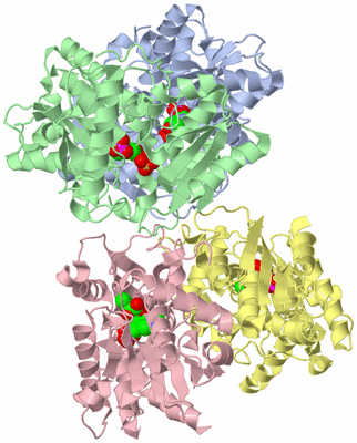 Image Asym./Biol. Unit