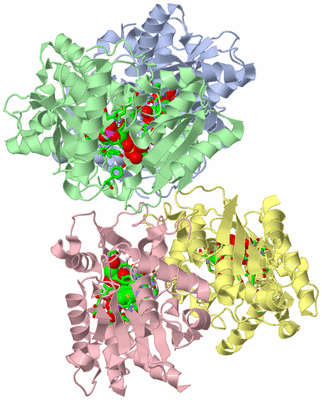 Image Asym./Biol. Unit - sites