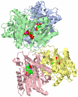 Image Asym./Biol. Unit