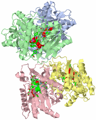 Image Asym./Biol. Unit - sites