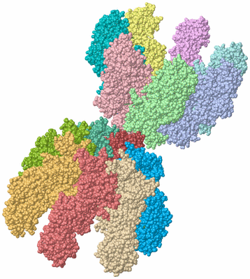 Image Biological Unit 3