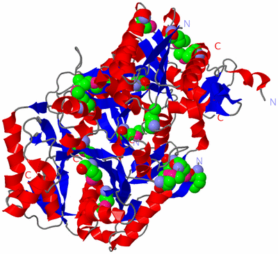 Image Asym./Biol. Unit