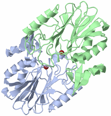 Image Asym./Biol. Unit
