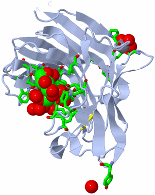 Image Biol. Unit 1 - sites