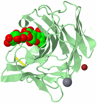 Image Biological Unit 2