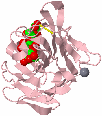 Image Biological Unit 3