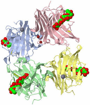 Image Biological Unit 5