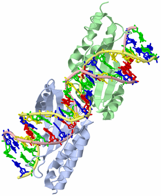 Image Biological Unit 1