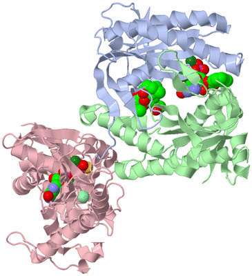 Image Asym./Biol. Unit