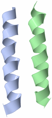 Image NMR Structure - model 1