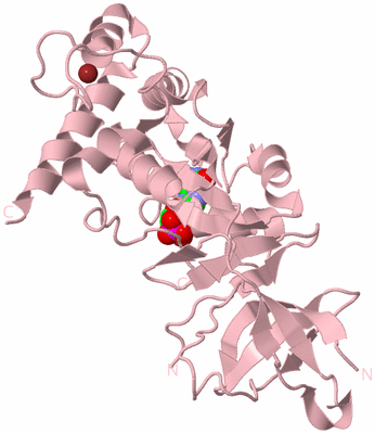 Image Biological Unit 3