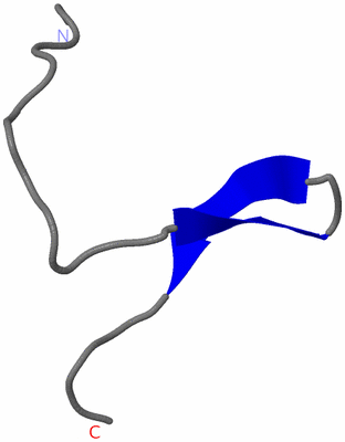 Image NMR Structure - model 1