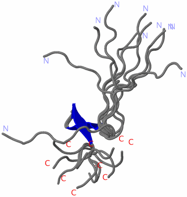 Image NMR Structure - all models