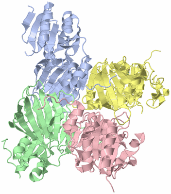 Image Asym./Biol. Unit