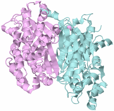 Image Biological Unit 3