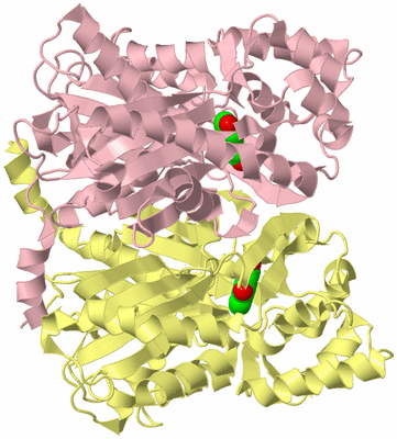 Image Biological Unit 2