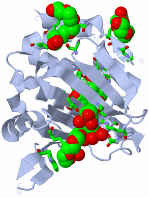 Image Biol. Unit 1 - sites