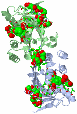 Image Asym. Unit - sites