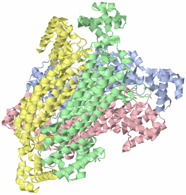 Image Asym./Biol. Unit